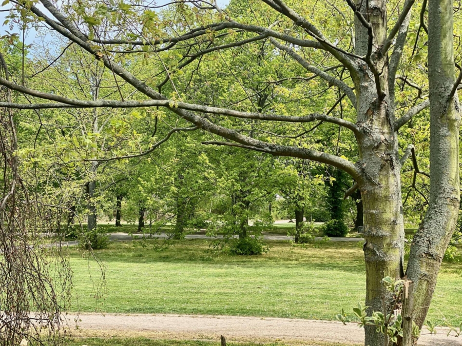 Park