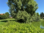 Ansicht Teich